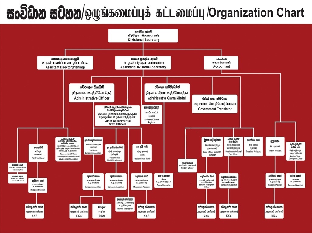 Doluwa organization chart
