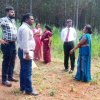 නැවත පදිංචි කිරිම්