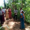 නැවත පදිංචි කිරිම්