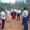 නැවත පදිංචි කිරිම්