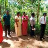 නැවත පදිංචි කිරිම්