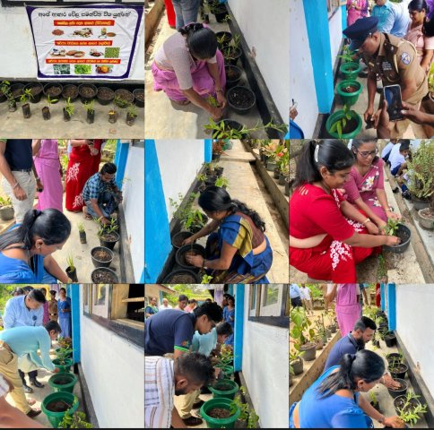 පරිසර දින වැඩසටහන 2026