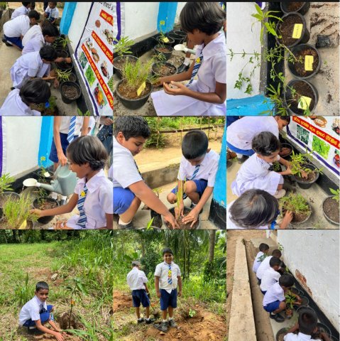 පරිසර දින වැඩසටහන 2026