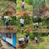 පරිසර දින වැඩසටහන 2026