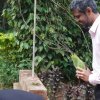 සංහිඳ වැඩසටහන 2025